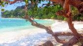 Paradise - Kalapathar Beach