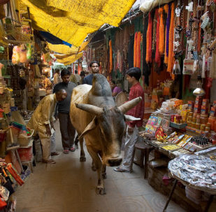 Rishikesh-Narrow market streets